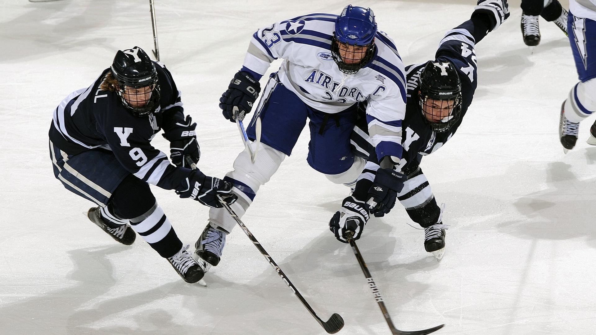 德甲俱乐部投入足球基础设施，推动环境保护，德甲专业足球场